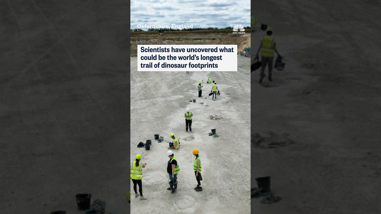 Scientists have uncovered what could be the world's longest trail of dinosaur footprints
