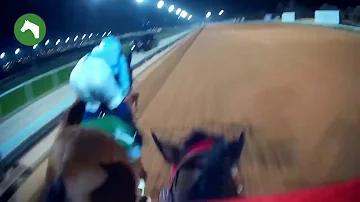 ジョッキー出し方