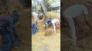 #dance #dancecover #haryanvisong #song #unfrezzmyaccount #newdance #tiktokviralsong #comedy #funny