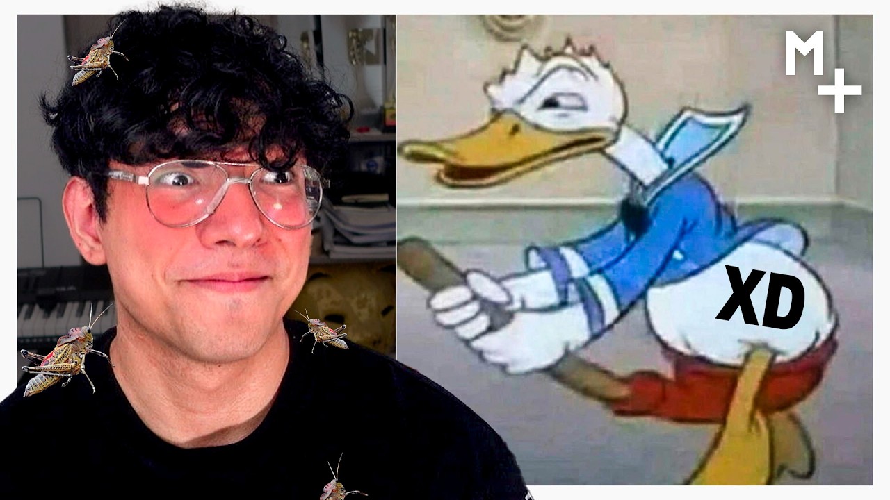 SI TE RÍES, COMES INSECTOS 💀🐛