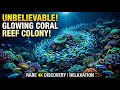Calm Music to Relax Body and Mind, Mind and Body Healing • Soothing Vibes