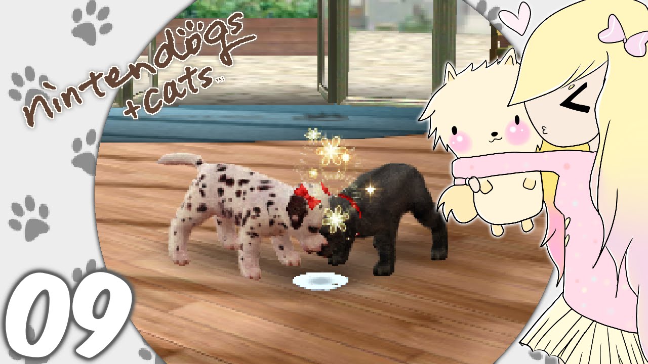 [Let's Play] Nintendogs + Cats (Toy Poodle) EP09 Play date ⊂((・ ・))⊃