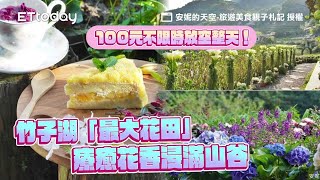 100元不限時放空整天！竹子湖「最大花田」療癒花香浸滿整座山谷｜ETtoday旅遊雲