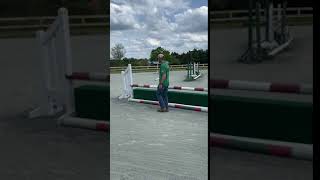 How to Measure a 12' Horse Stride With Walking Steps