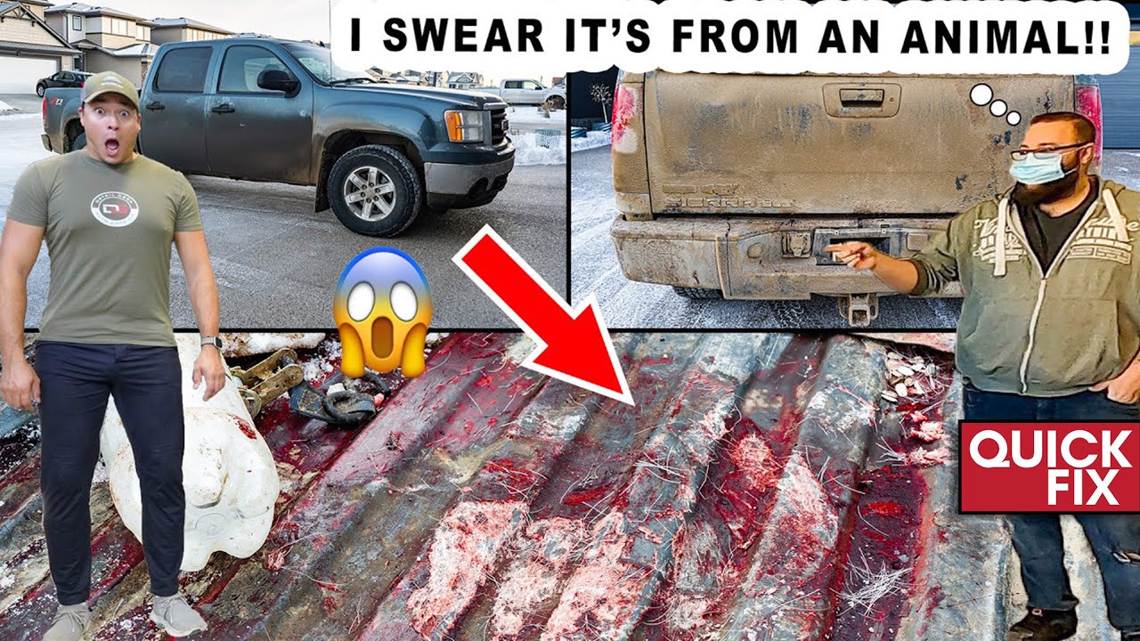 Cleaning The BLOODIEST Truck I've Ever Seen! | Quick Fix