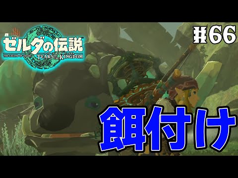 【ティアキン】ゼルダの伝説最新作を隅から隅まで楽しみまくる！#66【ティアーズオブザキングダム】【ぽんすけ】
