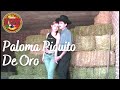 El Compa Rivas - Paloma Piquito De Oro (Video Oficial)