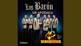 Video thumbnail of "Los Barón de Apodaca - Por Esa Calle Vive"