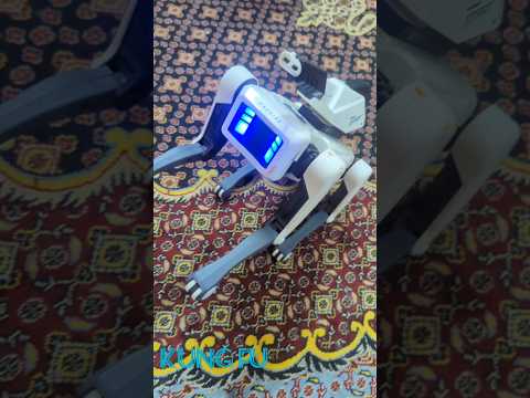 robot dog review #robot #review by SB unboxing