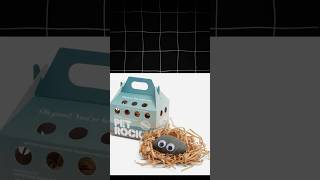 This pet is actually insane #petlife #shorts