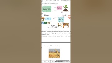 Bridge Course,Std.-9,Sub.-Science and technology, Activity Sheet-12
