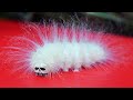 Top 15 WEIRDEST Caterpillars!!! 🐛