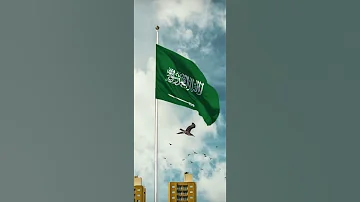 لماذا التطبيع خيانة السعودية الإمارات Shorts 