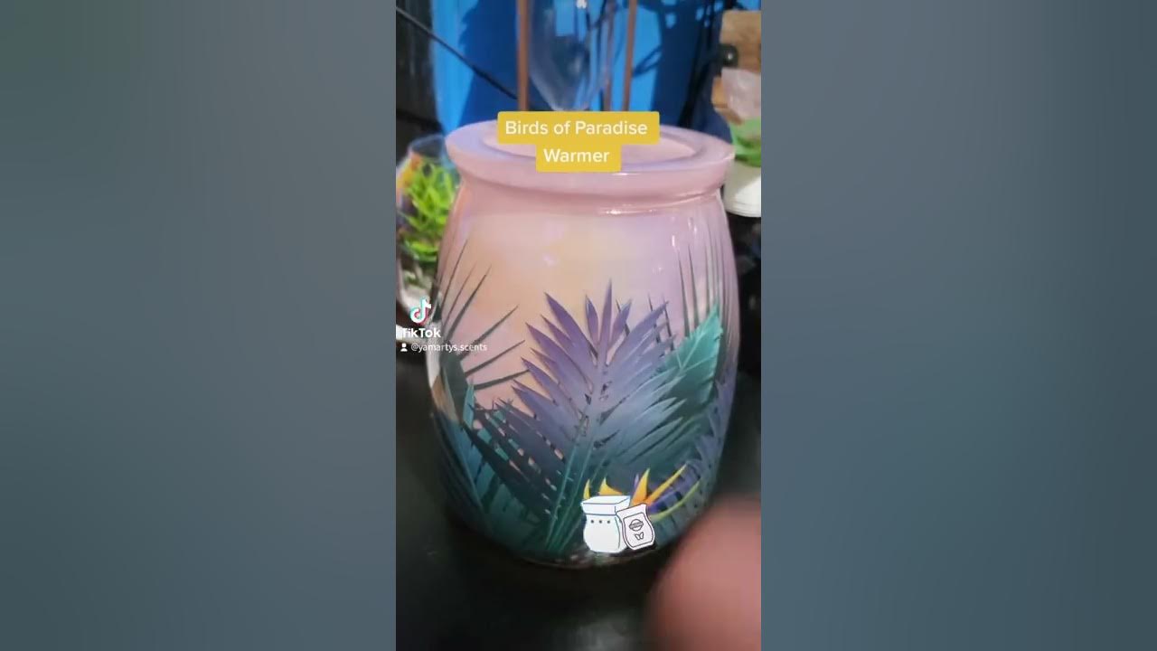 Birds of Paradise Scentsy Warmer - YouTube