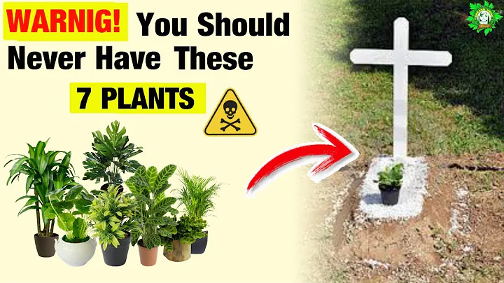 ⚠️7 Plants🌿 You Shouldn't Have In Your Home🏠 - DayDayNews