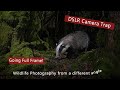 DSLR Camera Trap - Going Full Frame