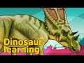 Dinosaur Chasmosaurus Collection| herbivorous dinosaur Chasmosaurus |공룡 카스모사우루스