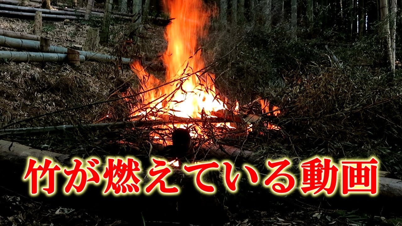 【炎】竹を燃やす - YouTube