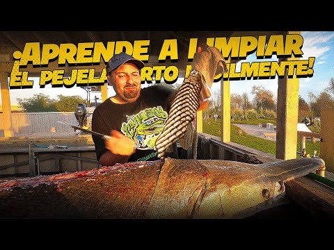Limpieza y Fileteado de Pejelagarto: Guía Paso a Paso