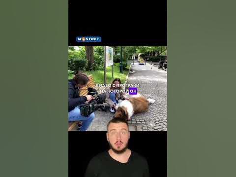 Мужчина в костюме собаки! #собака #костюм #мечта #детскаямечта # ...
