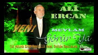 ali ercan