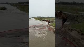 River monster catfish catch by net fishing #shorts #fishing #fishingvideo #fishinglife #bigfish