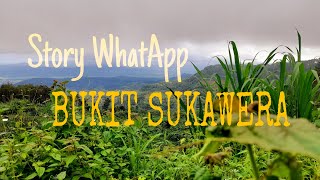 Story wa (Ust. Adi Hidayat) | Anak soleh | Story wa Islami