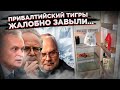 Это свинство! Холодильник победил Прибалтику!