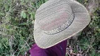 Version 2 of the video