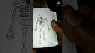 skeleton flip book 💀💀💀