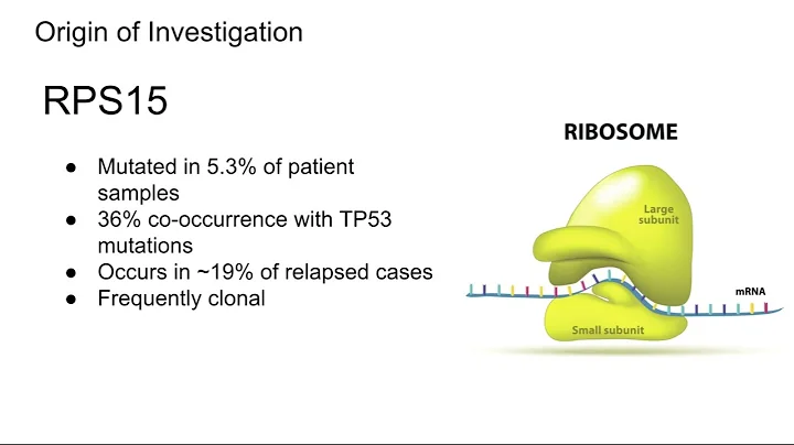 Christina Curran: RPS15 and TP53 co-mutation drive...
