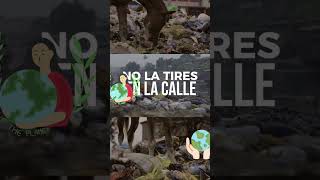 Actividad 4. Desafío