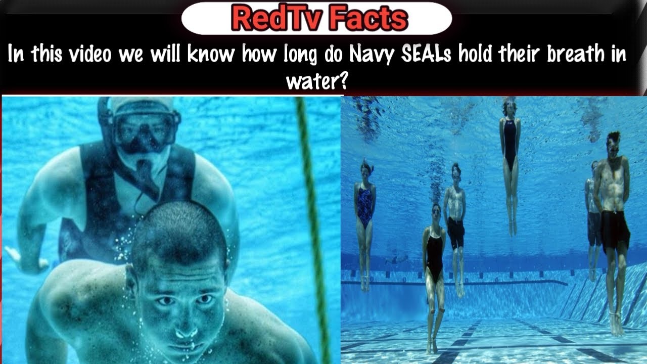 In today's video, we will know how do Navy Seals hold breath in water