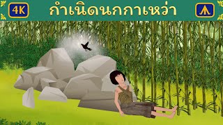 กำเนิดนกกาเหว่า 4K | Airplane Tales Thai