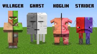 Full I Tested Every Transformation in Minecraft Update