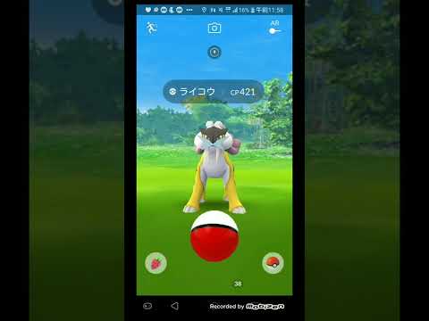 ジョウトツアーで3犬に逃げられる ポケモンgo Shorts Youtube