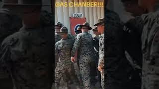 Gas Chamber Run