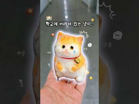 학교에 고양이가 버려져 있다고..? 버려진 냥이 말랑이 씻겨주기💦 #ASMR #말랑이 #shorts