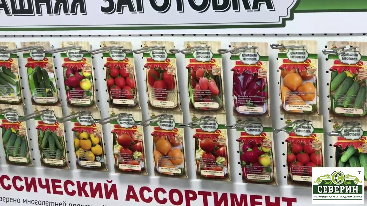 Семена Смоленск Интернет Магазин