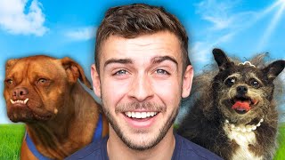 Famous Roasting My Viewers Pets... Profile