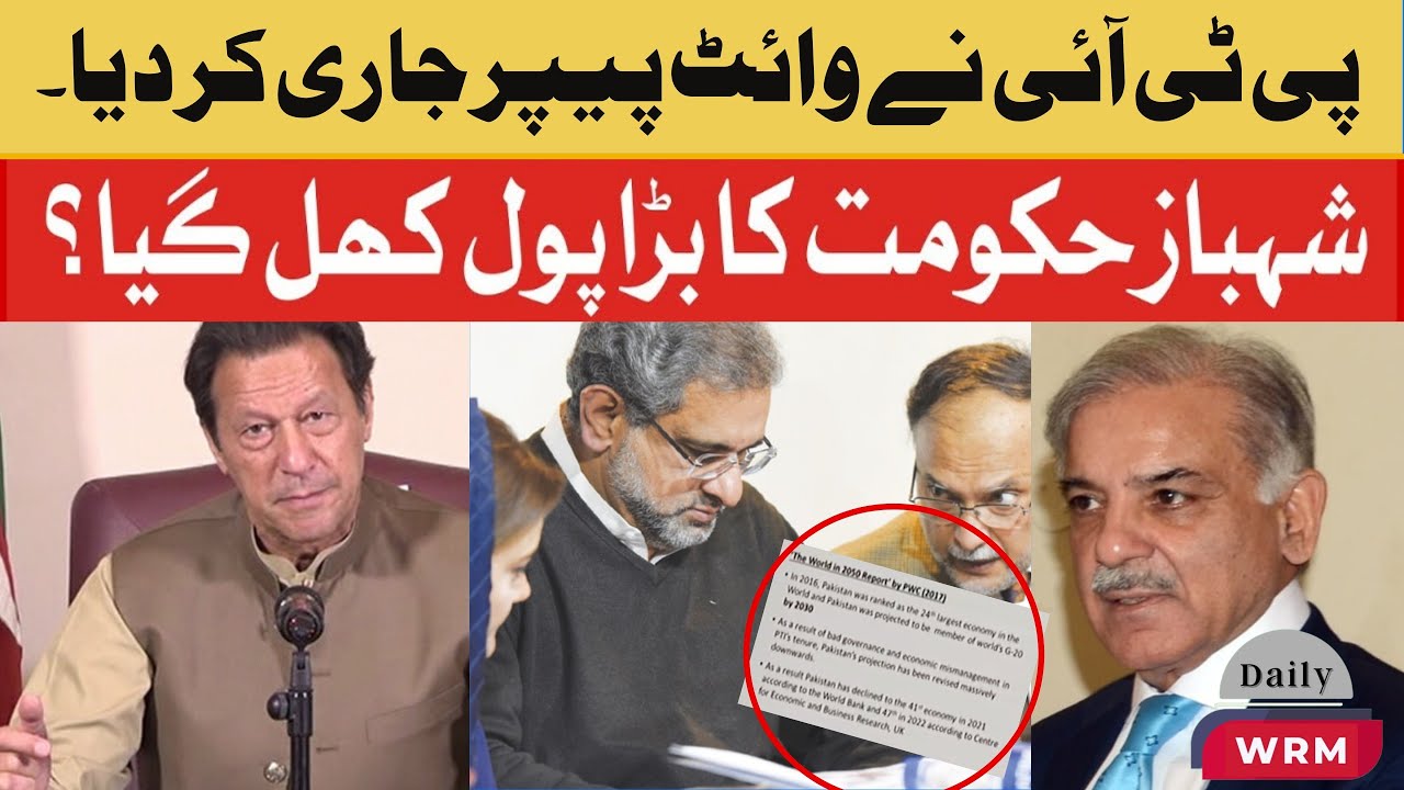 PTI white paper: highlighting corruption,nepotism pdm economic crisis