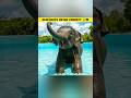 Elephants ki memory humans se better kyun hoti hai? 😱🐘 #shorts #facts #trending