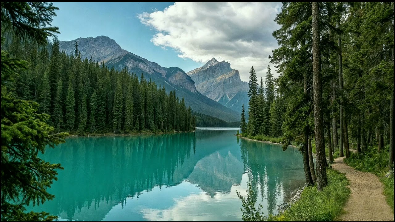 Enjoy The Beauty Of Nature Tv Screensaver Home Decor