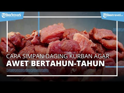Cara Menyimpan Daging Kurban Yang Benar Tanpa Kulkas