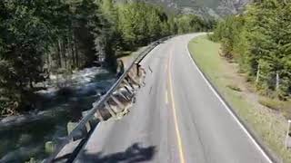 Beartooth Highway Closed Due to Flooding