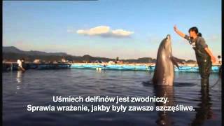 [Andrino Play] Zatoka delfinów (2009)