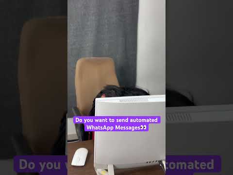 Create Webhook-Triggered WhatsApp