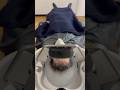 お父さん、美容室でリフレッシュしてきたそうです。気持ち良さそう #shorts #beautysalon