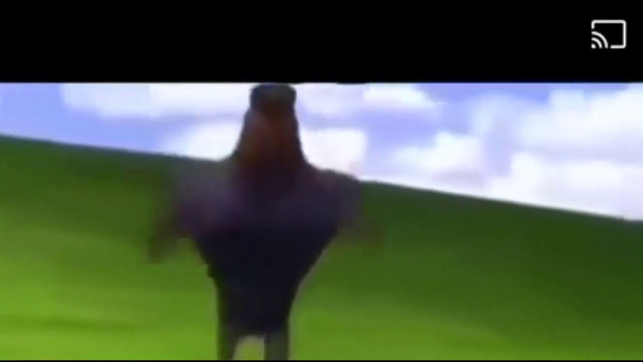 policía corriendo lluvia de hamburguesas YouTube policía corriendo lluvia de hamburguesas YouTube