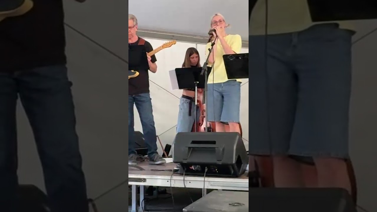 Cover by WSS Birds of a feather Billie E.  Live